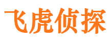 布拖市私家侦探